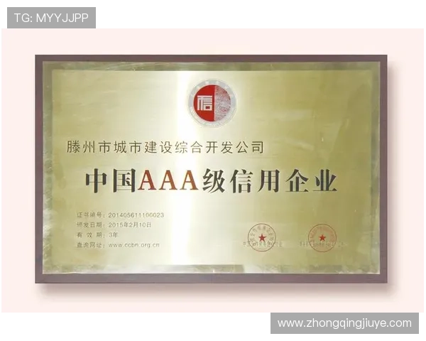 凯发集团简介图片介绍企业荣誉资质与行业地位的权威展示