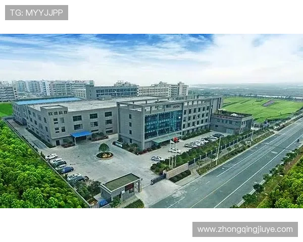 通过凯发集团简介图片，直观感受企业创新能力与未来发展战略布局